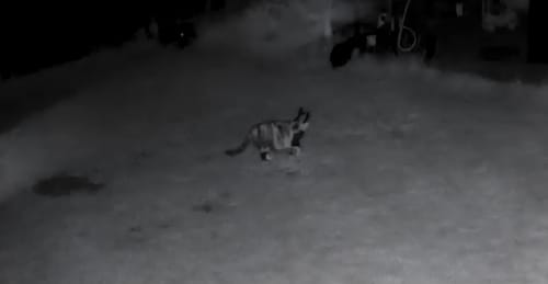 Foto della recensione di Benedetta M.